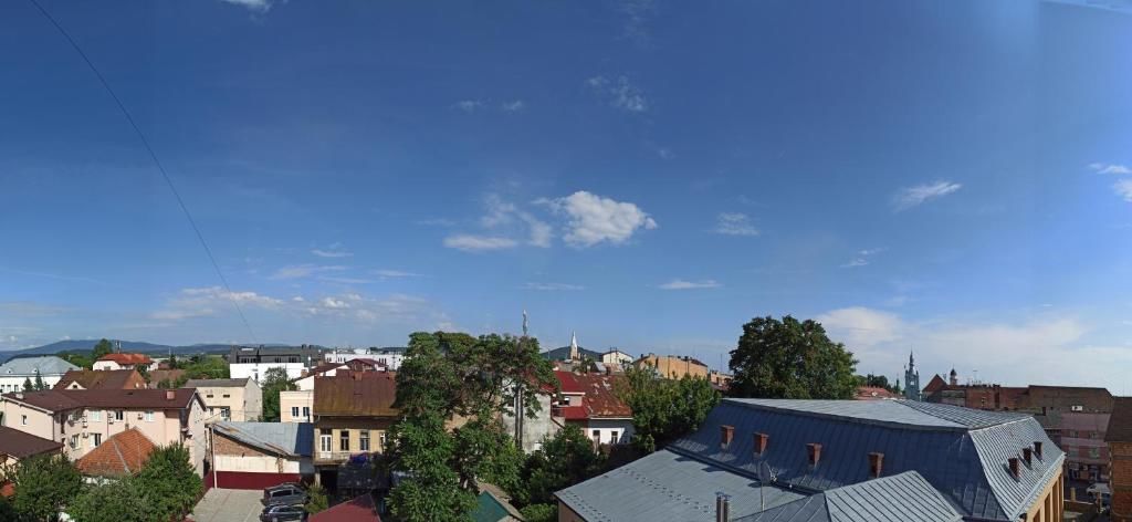 Апартаменты Elite Lux Apartment with balcony Мукачево-42